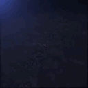 Panda Oceania's SMP banner