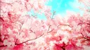 Ladies banner