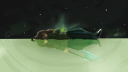 Bella’s Sketchbook 🎨 Discord server banner