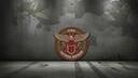 24th Tactical Division Banner