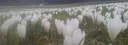 solitary#2309 banner