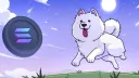 SAMO banner