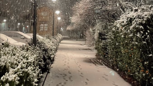 /flores #soon Discord server banner