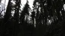 𝖲𝖾𝗋𝖾𝗇𝗂𝗍𝗒 Discord server banner