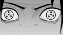 YZ banner