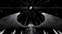 ︶⏝ׄ   starstream    !   ៶ banner