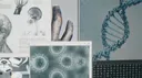 ⸝⸝ 💉 ALCATRAZ / BI0HZRD ZONE Discord server banner
