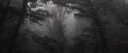 September server banner