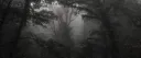 September Discord server banner