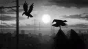 Syntropy Discord server banner