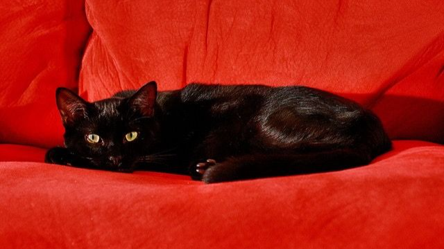 Filmesque Discord server banner