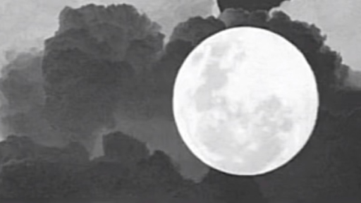 /desolate Discord server banner