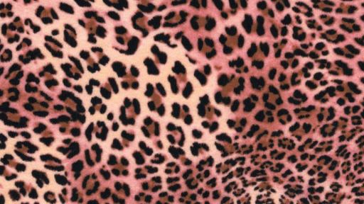 rue social , gaming & giveaways Discord server banner