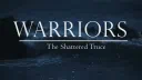 ∘₊✧ The Shattered Truce ✧₊∘ server banner