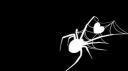 Spiders Discord server banner