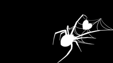 Spiders Discord server banner