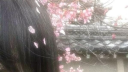 grab a /cookieee server banner