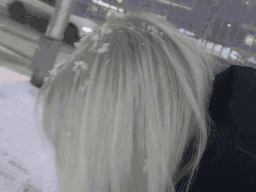 grab a /cookieee server banner