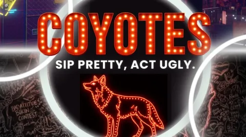 Coyotes banner