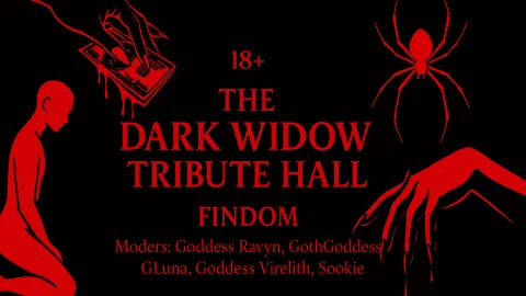 The Dark Widow Tribute Hall banner