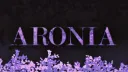 Blissed (W.I.P) banner
