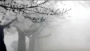 ⚞ ꮿֹ ຽ♟ ּ˳݂ 𝑜թ𝕚um𝓈 banner