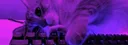 twin#9548 banner