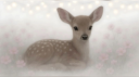 Cherish server banner