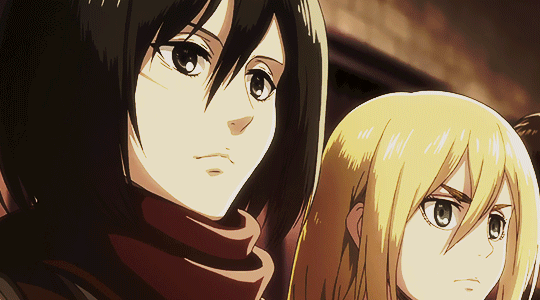 / ♡ | mikasa cafe ✿ ݁ ˖ Discord server banner