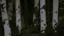 Story Land Discord server banner