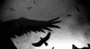 bloom archive Discord server banner