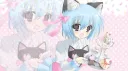 ‧₊˚  ⋅   M𝙚owie's dreamCafé      ｡𖦹° server banner