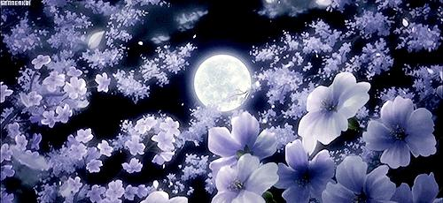 โง Moonโs Cafรฉ โง Discord server banner