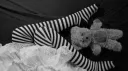 /lyz banner