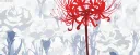 /friendme Discord server banner