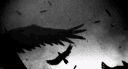 𝐒𝐨𝐫𝐚 banner