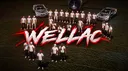 WELL Anticheat banner