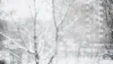 ◟⸝⸝ d୭ll ﹐◞ Discord server banner