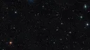 GOOG Discord server banner