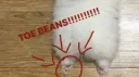𝚃𝙷𝙴 𝙳𝚈𝙸𝙽𝙶 𝚁𝙾𝙾𝙼 server banner
