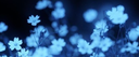 ✧˖°‧roly's hideout‧°˖✧ Discord server banner