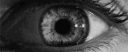 3eN banner