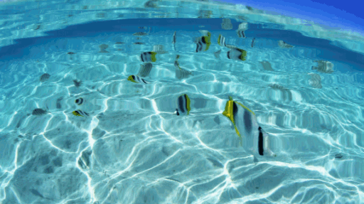 CTRL Discord server banner