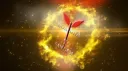 ๐ณ Dormia The Rise of Sangem ๐ณ Discord server banner