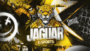 ORG JAGUAR | R$ 0,25c banner