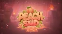 PeachSMP Network banner