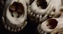 decay ; 18+ server banner
