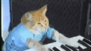Chez le chat banner