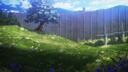 Hushes Banner