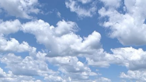 ⋆˚˖°🐾𝒫𝓊𝓅𝓅𝓎 𝒫𝓁𝒶𝓎𝒢𝓇𝓋𝓊𝓃𝒹🐾⋆˚˖° Discord server banner